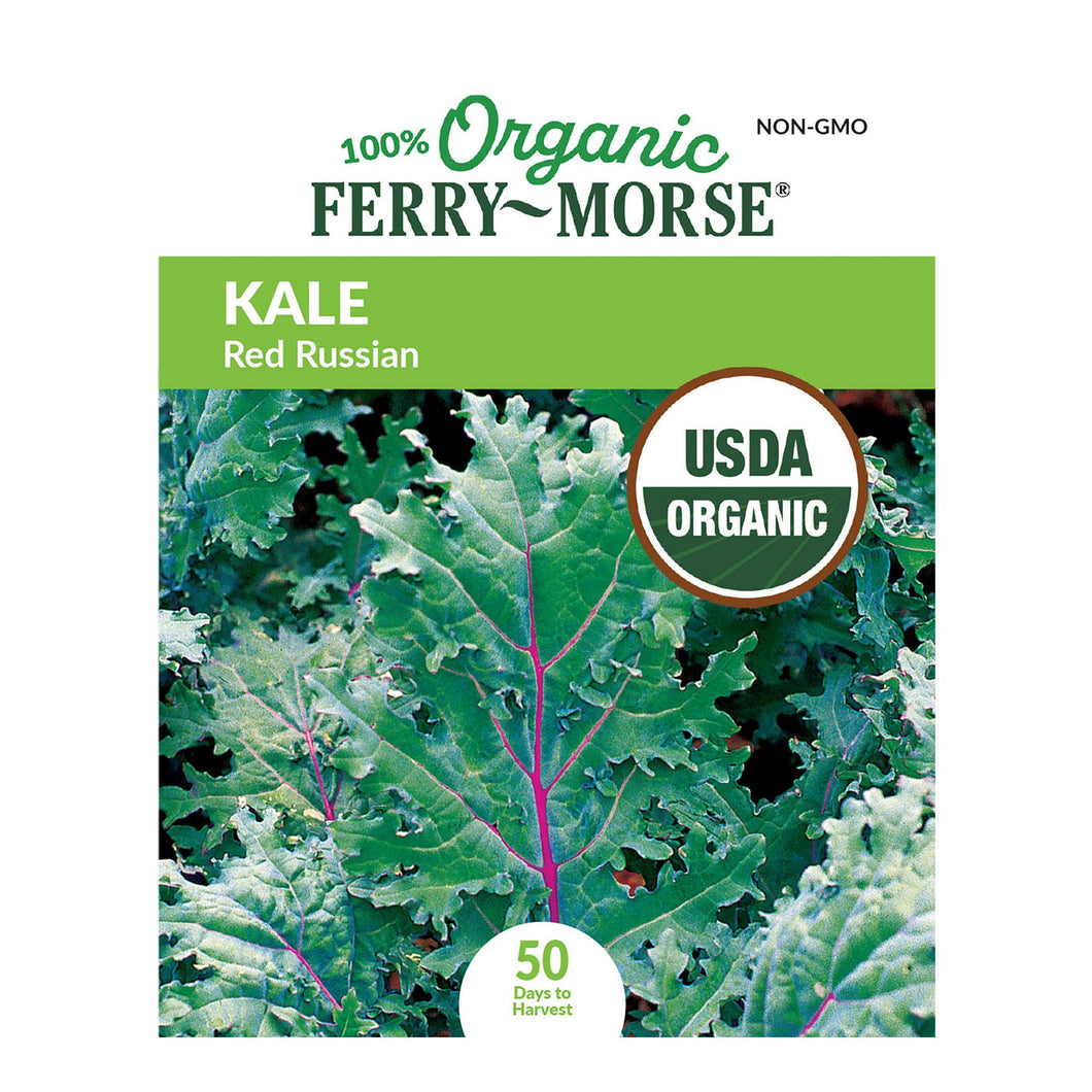 Kale Red Russian Organic Seeds