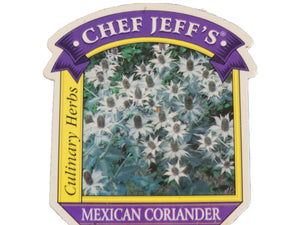 Coriander Mexican