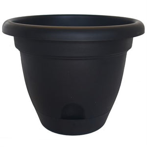 Lucca Planter