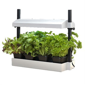 SunBlaster T5HO Micro Growlight Garden
