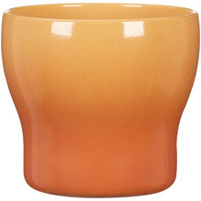 Load image into Gallery viewer, Scheurich Fun Fiesta Planters

