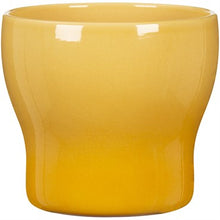 Load image into Gallery viewer, Scheurich Fun Fiesta Planters
