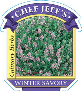 Savory Winter