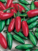 Load image into Gallery viewer, Pepper &#39;Serrano&#39;
