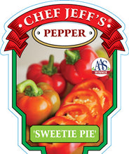 Load image into Gallery viewer, Pepper &#39;Sweetie Pie&#39;
