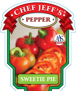 Pepper 'Sweetie Pie'