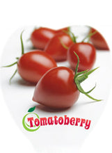 Load image into Gallery viewer, Tomato &#39;Tomatoberry&#39;
