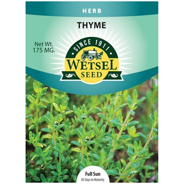 Thyme  Thyme Seeds – Denchfield Nursery, Inc.