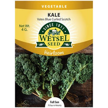 Load image into Gallery viewer, Kale &#39;Vates Blue Curled Scotch&#39; Seeds
