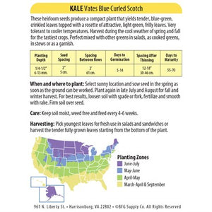 Kale 'Vates Blue Curled Scotch' Seeds