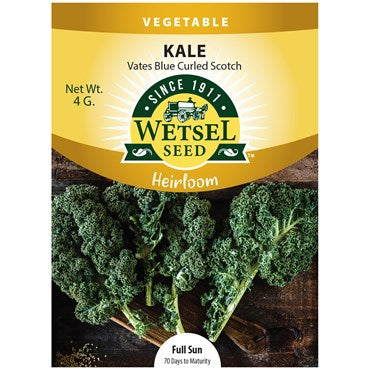 Kale 'Vates Blue Curled Scotch' Seeds