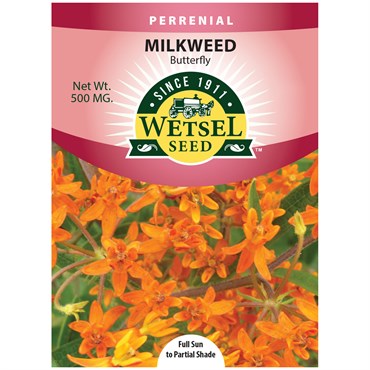 Butterfly Milkweed Seeds