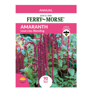 Amaranth Love Lies Bleeding Seeds