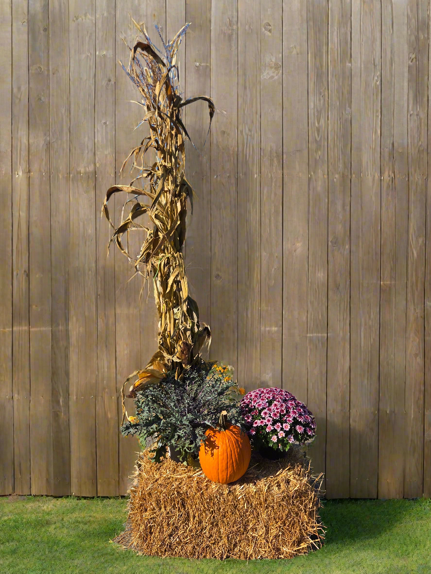 Fall Decorating Package