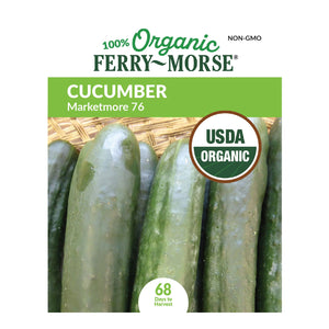 Cucumber, Marketmore Organic Seeds
