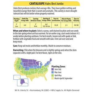 Organic Hales Best Jumbo Cantaloupe Seeds