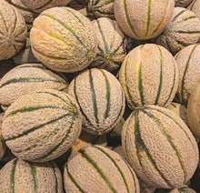 Load image into Gallery viewer, Organic Hales Best Jumbo Cantaloupe Seeds
