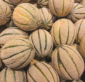 Organic Hales Best Jumbo Cantaloupe Seeds