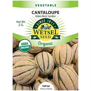 Organic Hales Best Jumbo Cantaloupe Seeds