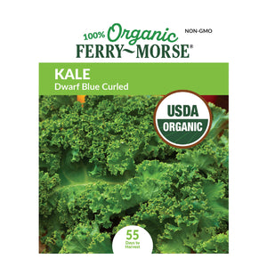 Kale, Dwarf Blue Curled Organic Seeds