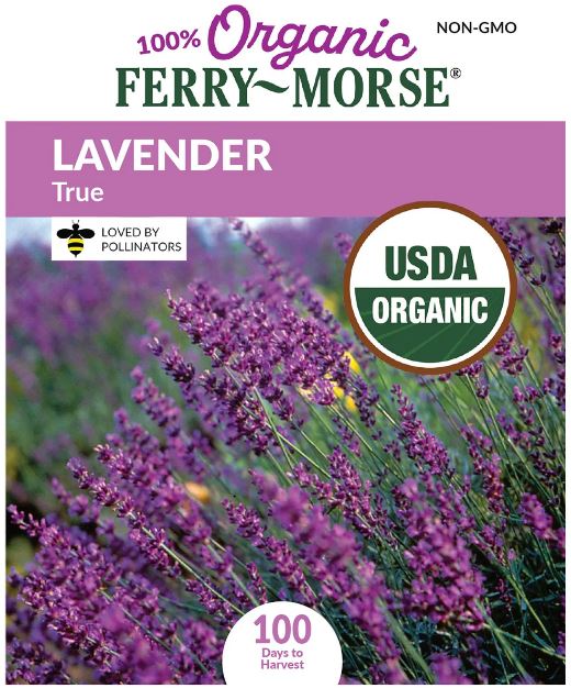 Lavender True Seeds