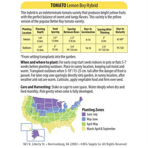 Tomato Lemon Boy Seeds