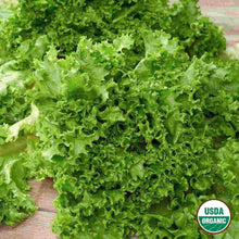 Load image into Gallery viewer, Lettuce Salad Bowl Organic Seeds
