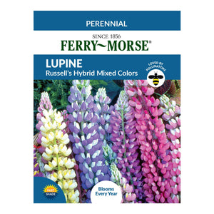 Lupine Russell's Mixed Colors Seeds