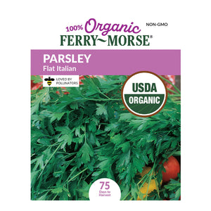 Parsley Single Italian Flat Organic Seeds