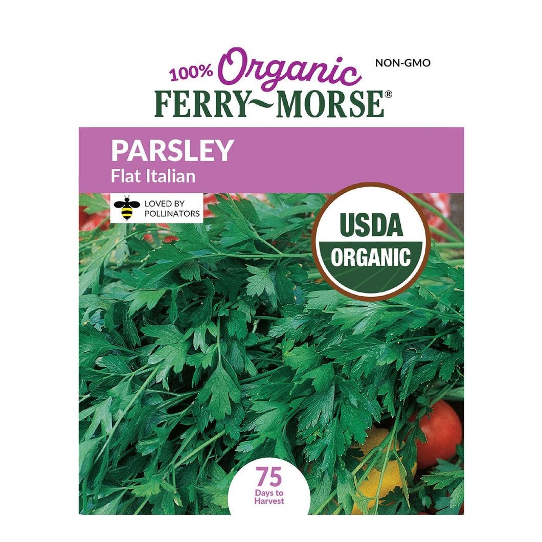 Parsley Single Italian Flat Organic Seeds