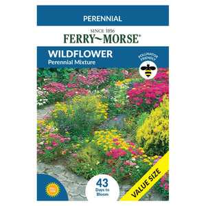 Wildflower Perennial Mixture Seeds