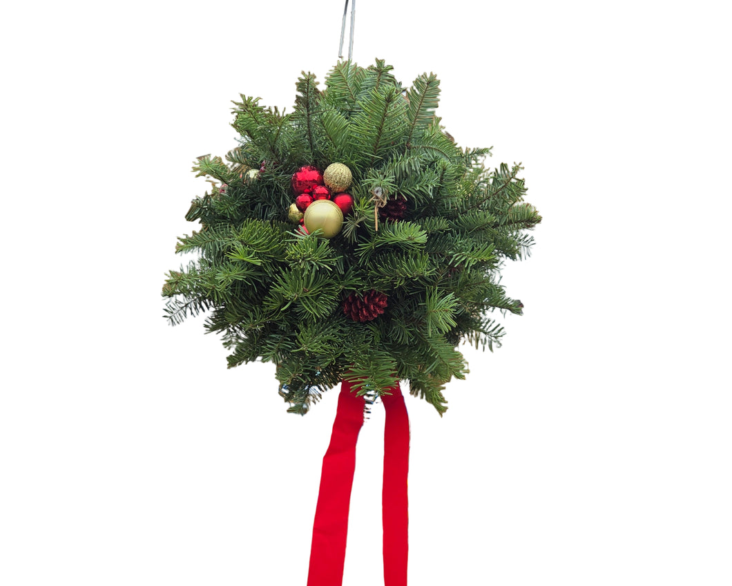 Fraser Fir 'Kissing Ball'