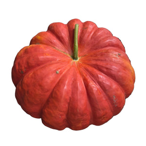 Specialty Autumn Harvest Mix Pumpkins