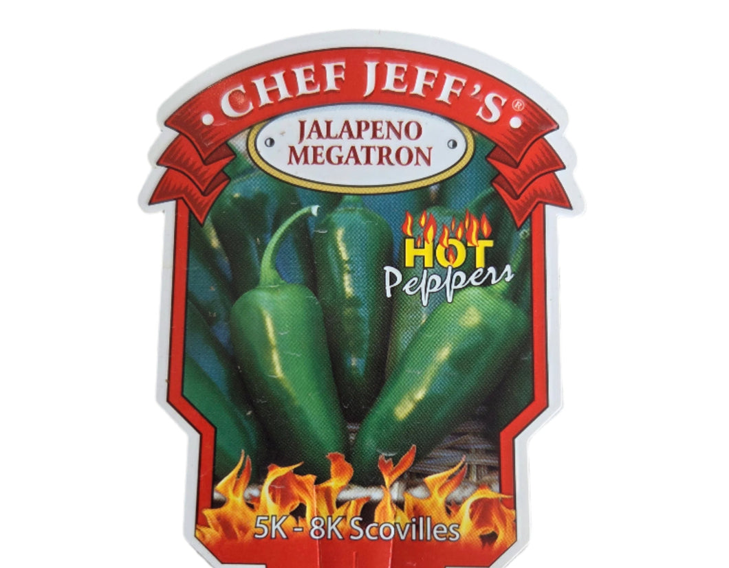 Pepper 'Jelapeno Megatron'