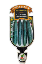Load image into Gallery viewer, Cucumber "Tasty Green"
