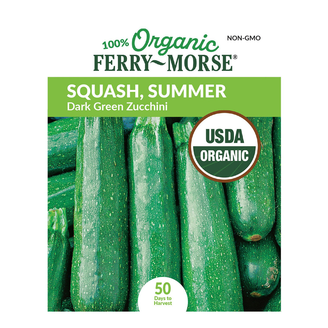 Squash Dark Green Zucchini Organic Seeds