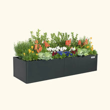 Load image into Gallery viewer, Modern Raised Garden Bed

