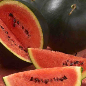 Watermelon Sugar Baby Organic Seeds