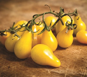 Tomato Heirloom 'Yellow Pear' Seeds