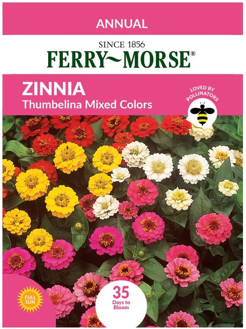 Zinnia Thumbelina Mix Seeds