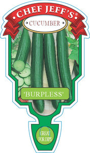 Cucumber "Burpless"