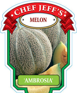 Melon "Ambrosia"