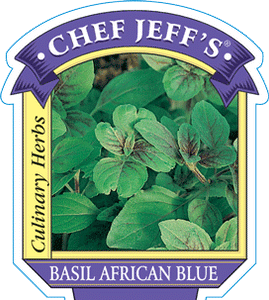 Basil 'African Blue'