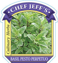 Load image into Gallery viewer, Basil Pesto Perpetuo
