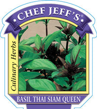 Load image into Gallery viewer, Basil &#39;Thai Siam Queen&#39;
