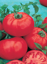 Load image into Gallery viewer, Tomato &#39;Better Bush&#39;
