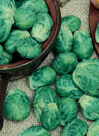 Brussel Sprouts