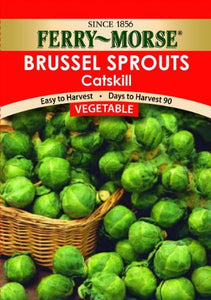 Brussels Sprouts Catskill Seeds
