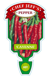 Pepper 'Cayenne'