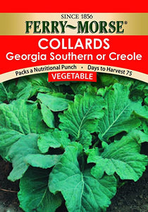 Collards Georgia Southern Seeds